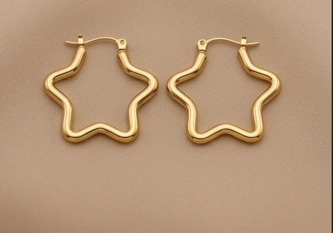 Precious Shine Earring