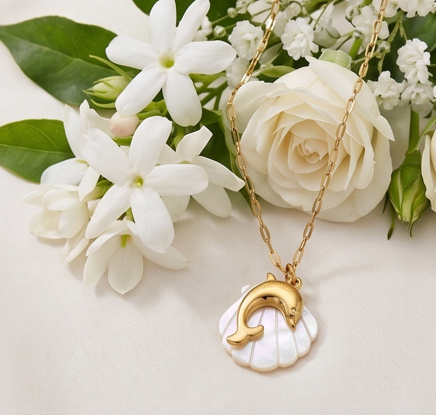 Dolphin Sheel Necklace